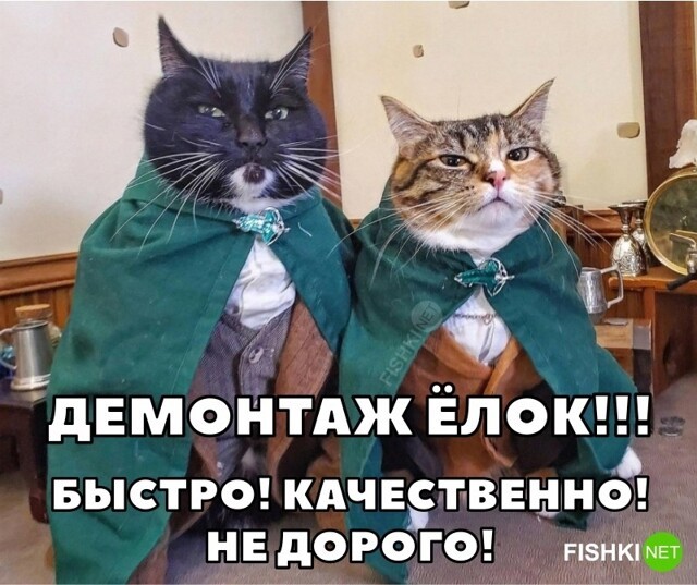 Демонтаж ёлок