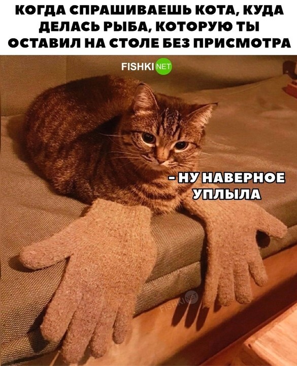 Куда же делась рыба?