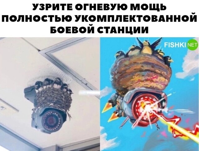 Во славу гнезда