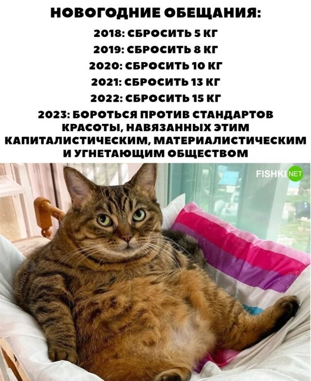 Новогодние обещания