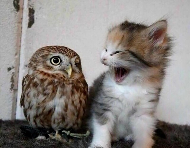 Фотоподборка