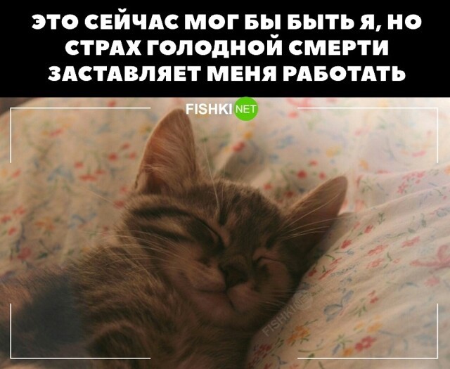 Пора работать