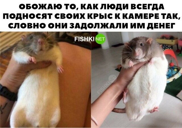 Забавное наблюдение