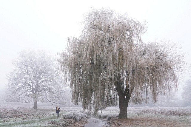 Фотоподборка