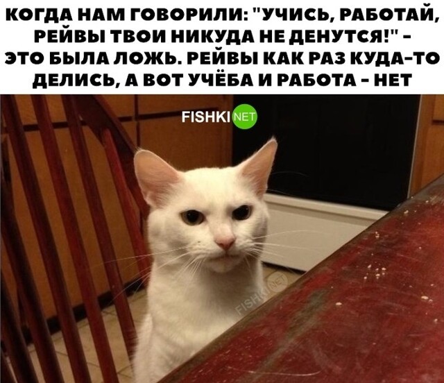 Опять обманули