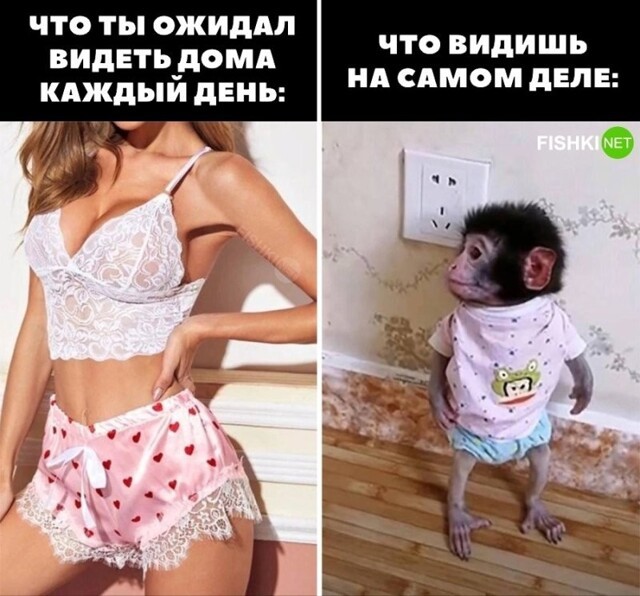 Ожидания и реальность