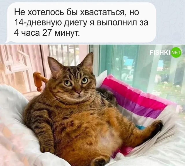 Я не хвастаюсь, так само получилось