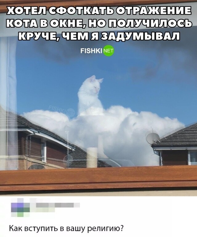 Отражение в окне