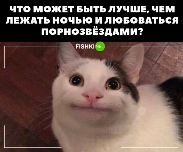Любитель ночного неба