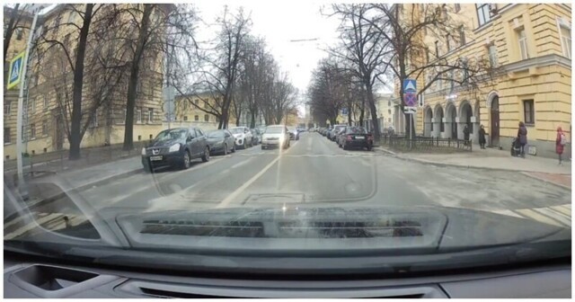 В Санкт-Петербурге сняли культурную ворону, которая переходила дорогу по "зебре"