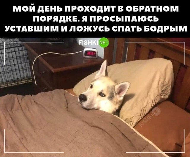 Всё наоборот