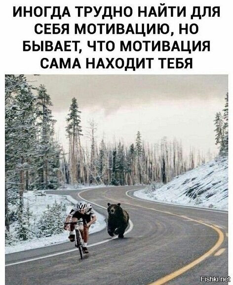 https://tn.fishki.net/42/upload/post/2023/02/07/4355187/c27b385d635ba5506d5ec218bd5ceaee.jpg