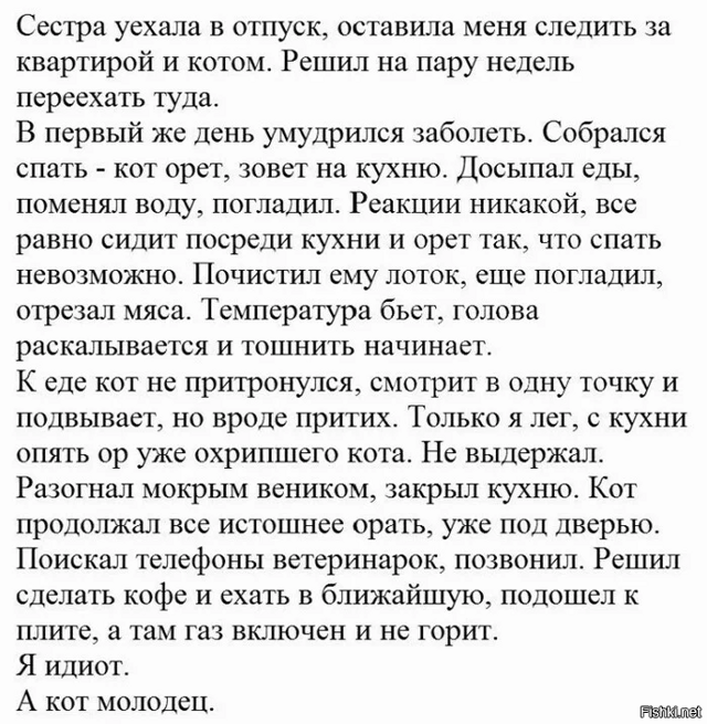 Солянка от 07.02.2023