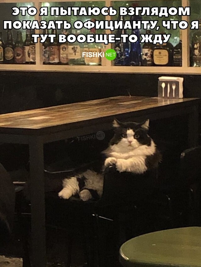 В ожидании официанта