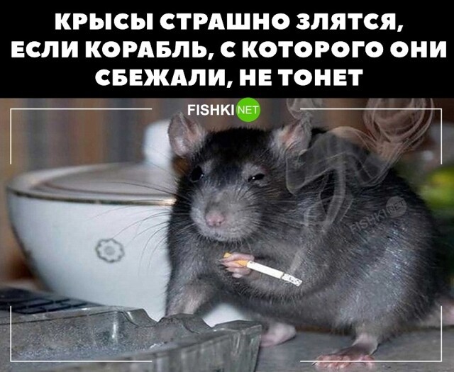 Не поспоришь