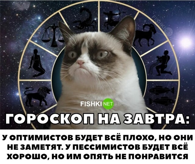 Скрины из соцсетей 