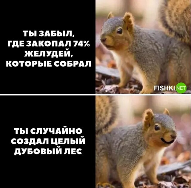 Долгосрочная инвестиция