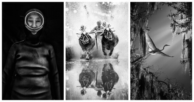 10 лучших снимков конкурса чёрно-белой фотографии от Independent Photographer