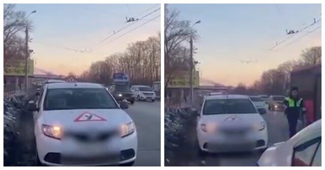 В Хабаровске лишённый прав дедушка дал порулить авто восьмилетнему внуку и попал на видео