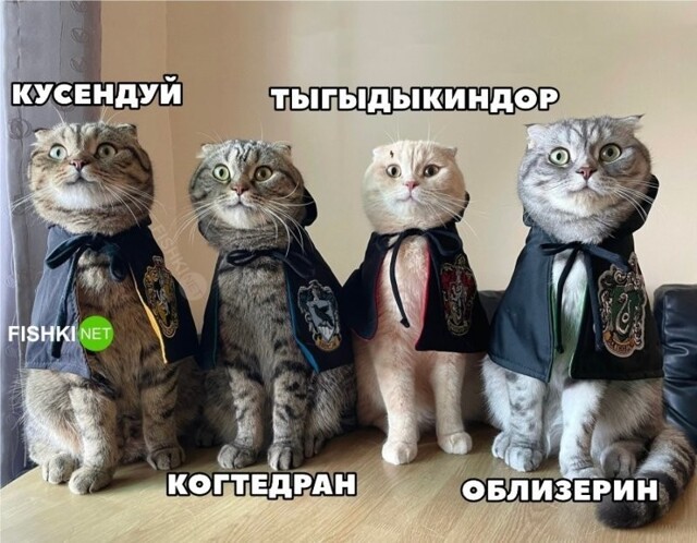 Вот эти ребята