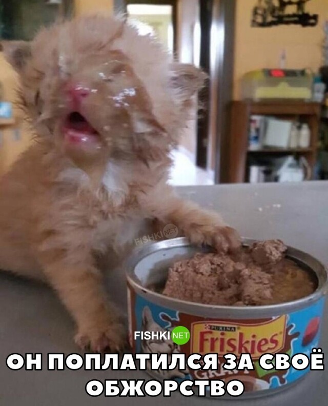 Сам себя наказал