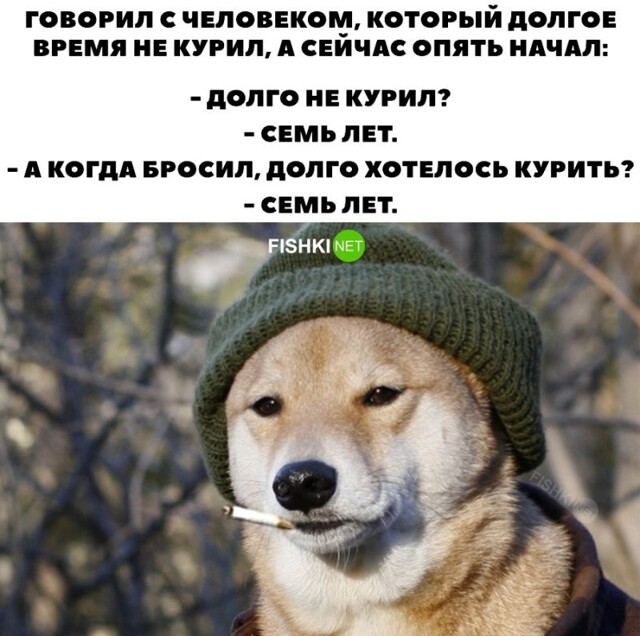 Долго не курил