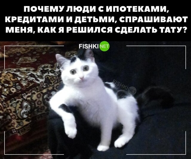 Фотоприколы и прикольные картинки