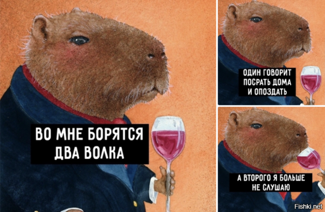 Солянка от 25.02.2023