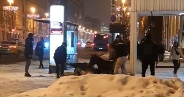 В центре Москвы на Маяковке лошадь погибла от удара током