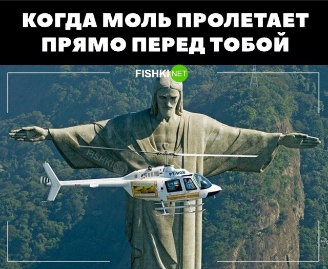 Борьба с молью