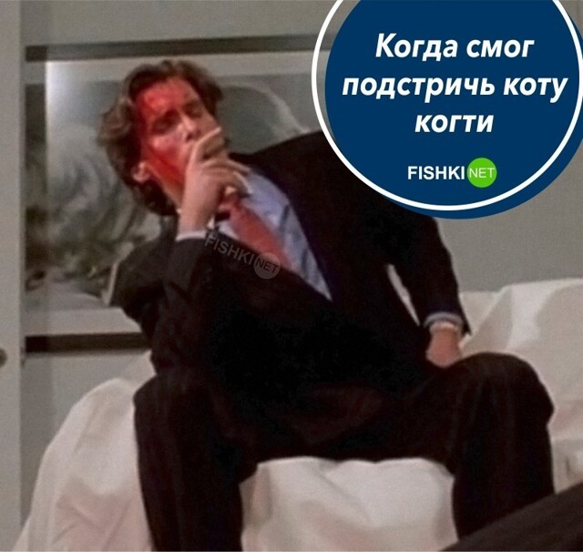 После встречи с котом