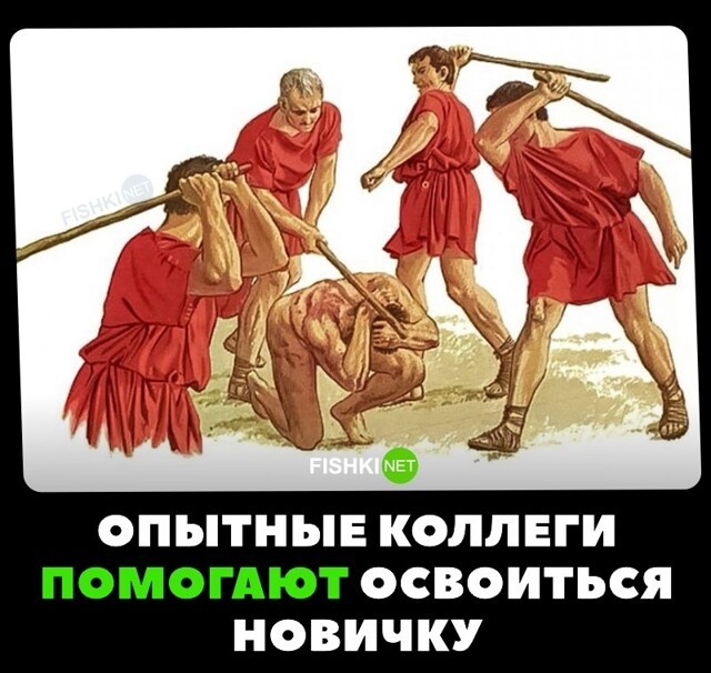 Новичок в коллективе