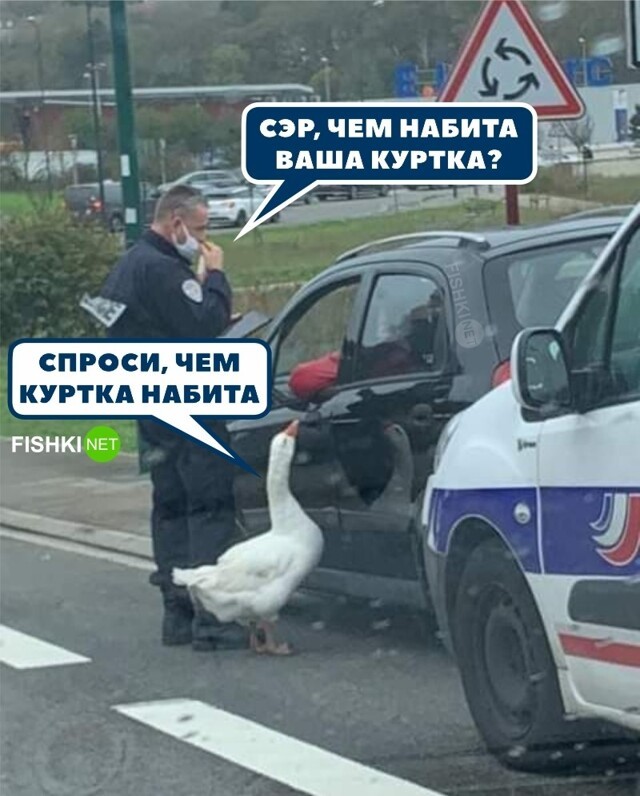 Теперь не отвертится