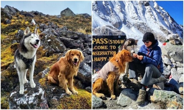 Блогер отправился в горы с собаками - и показал удивительные фото из похода