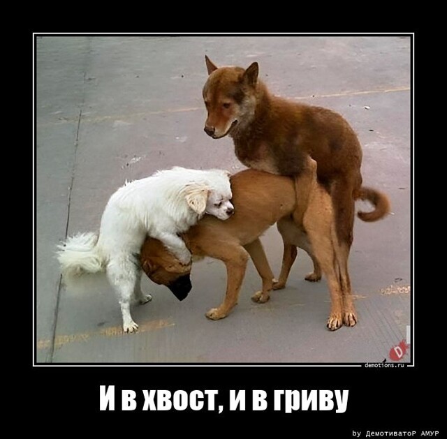 Форумы озабоченных. Форумы озабоченных
