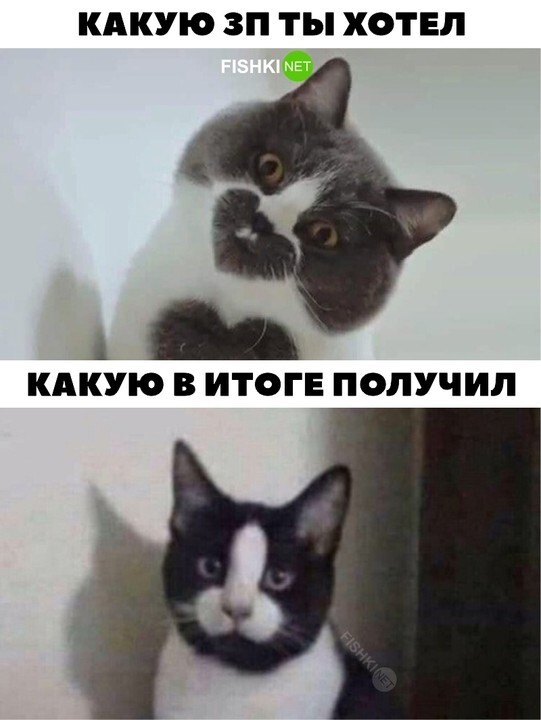 Картинка дня 09-03-2023