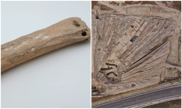 В Китае нашли древние коньки из костей животных