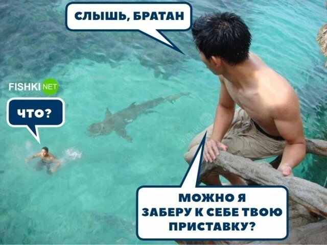 Фотоприколы и прикольные картинки