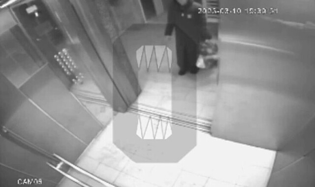 Бдительная женщина чудом избежала аварии в лифте