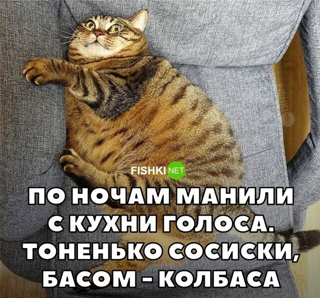 Ночные голоса