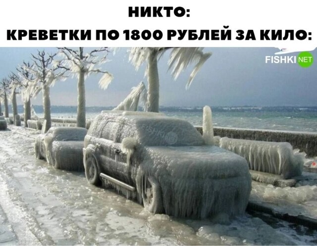 Слишком дорогие креветки
