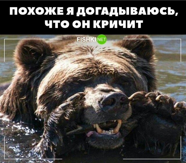 Не хватает только кустов