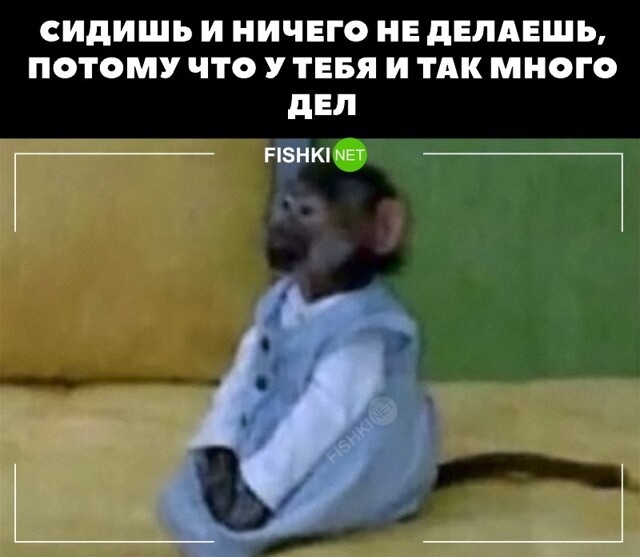 Достиг гармонии