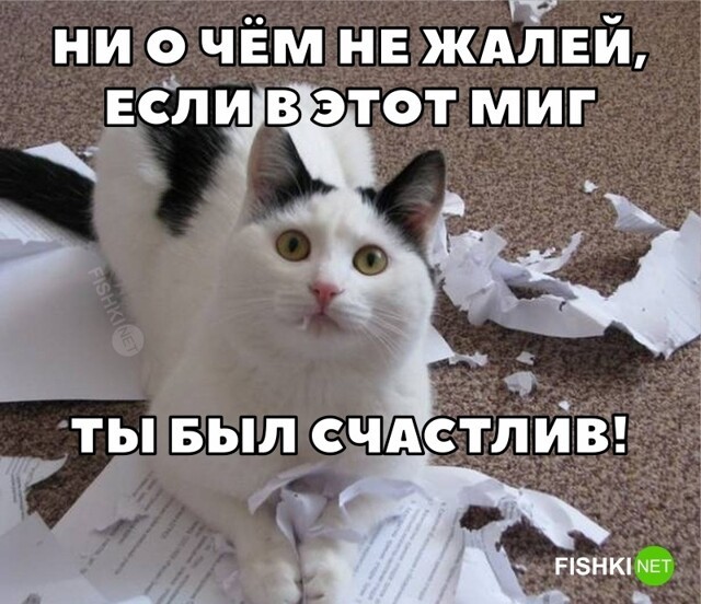 Фотоприколы и прикольные картинки