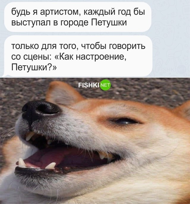 Город Петушки