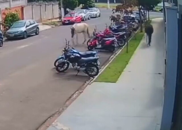 А потом доказывай, что ты не виноват