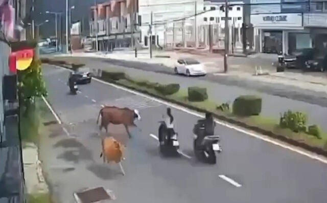 Никто не любит мотоциклистов