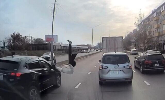 Перебегала дорогу и попала