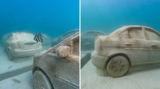 В Майами установили 22 бетонных автомобиля под водой
