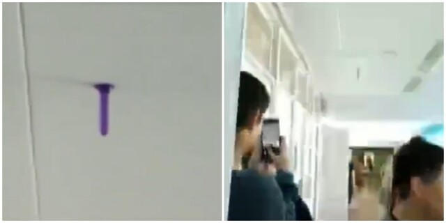 "Я даже не поняла, что это такое!": директор школы, где на потолке болтался лиловый фаллоимитатор, встала на сторону учеников